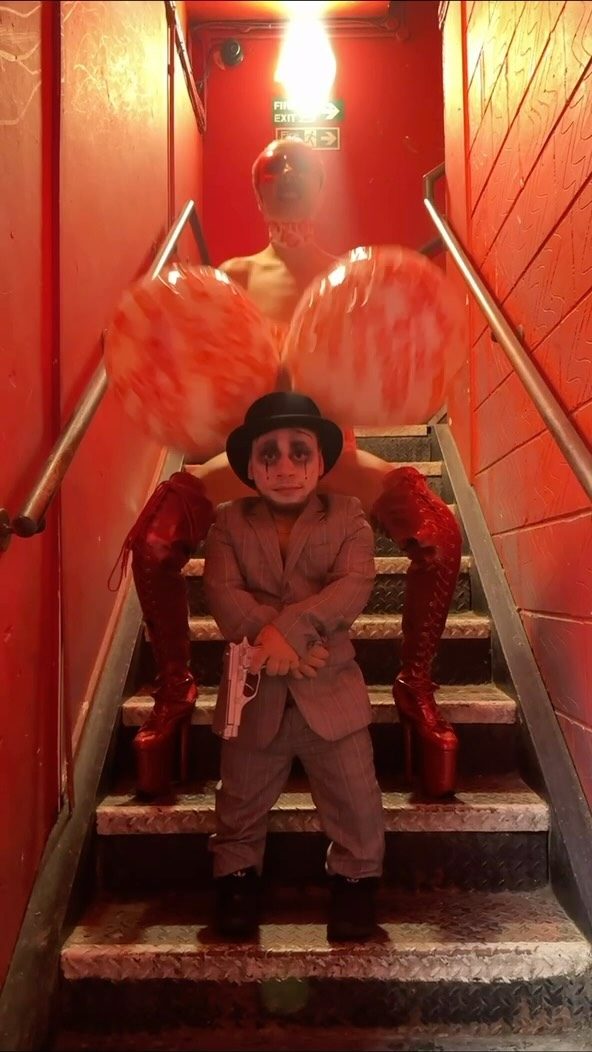 Cirque Le Soir on Instagram